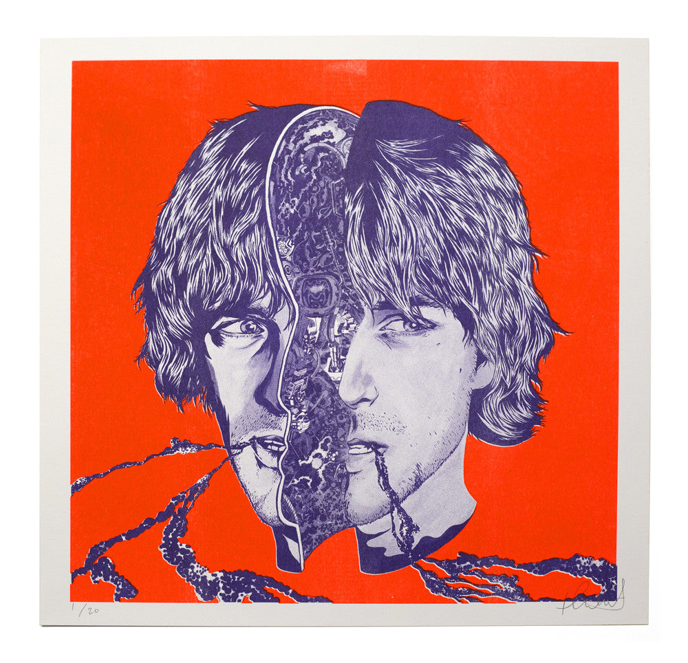 Color Pictures of a Marigold